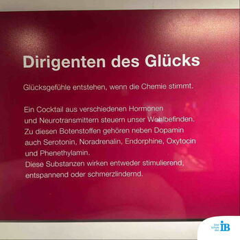 Ein Informationsschild erklärt, wie verschiedene Hormone und Neurotransmitter unser Glücksgefühl beeinflussen.