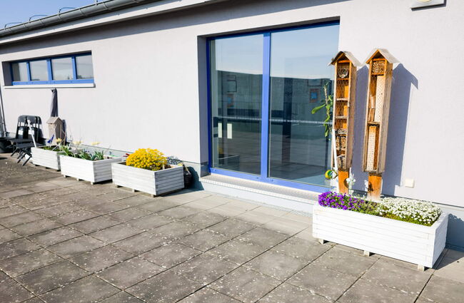 Die sonnige Dachterrasse zeigt bienenfreundliche Pflanzen und ein Bienenhotel neben einer großen Fensterfront.