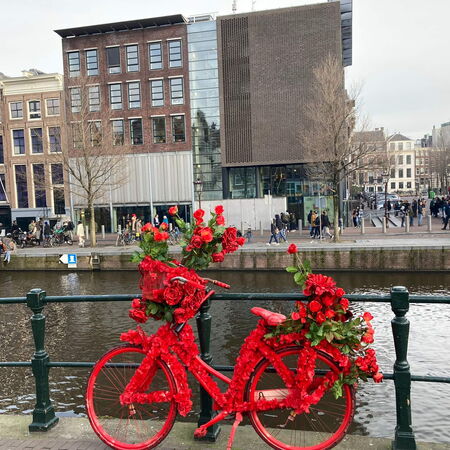 Ein mit roten Blumen geschmücktes Fahrrad steht an einem Kanal vor modernen und historischen Gebäuden.