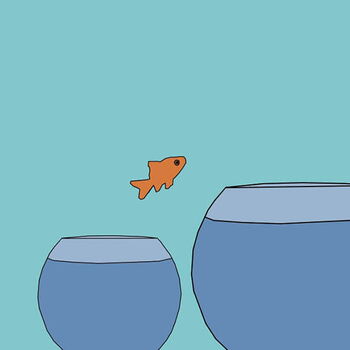 Ein Goldfisch springt von einem kleinen in ein größeres Aquarium, symbolisch für den nächsten Karriereschritt im Recruiting.