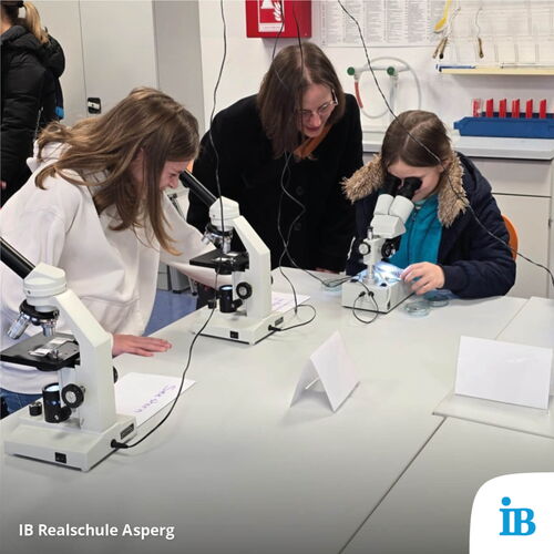 Schülerinnen erforschen mit Mikroskopen im Labor der Realschule Asperg beim Tag der offenen Tür spannende Proben.